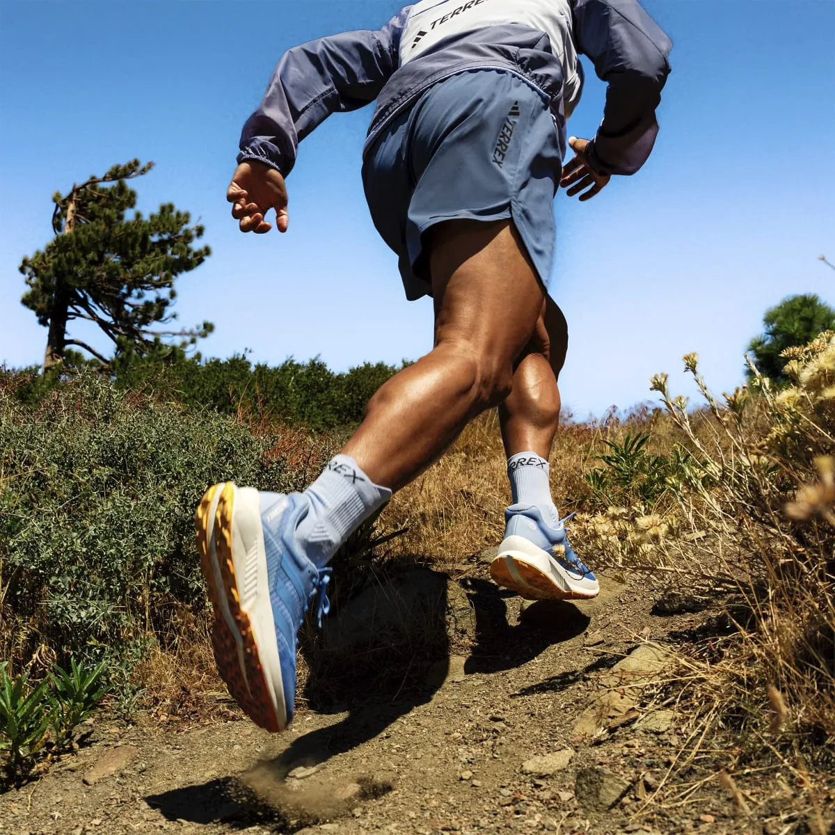 adidas Performance TERREX SOULSTRIDE FLOW