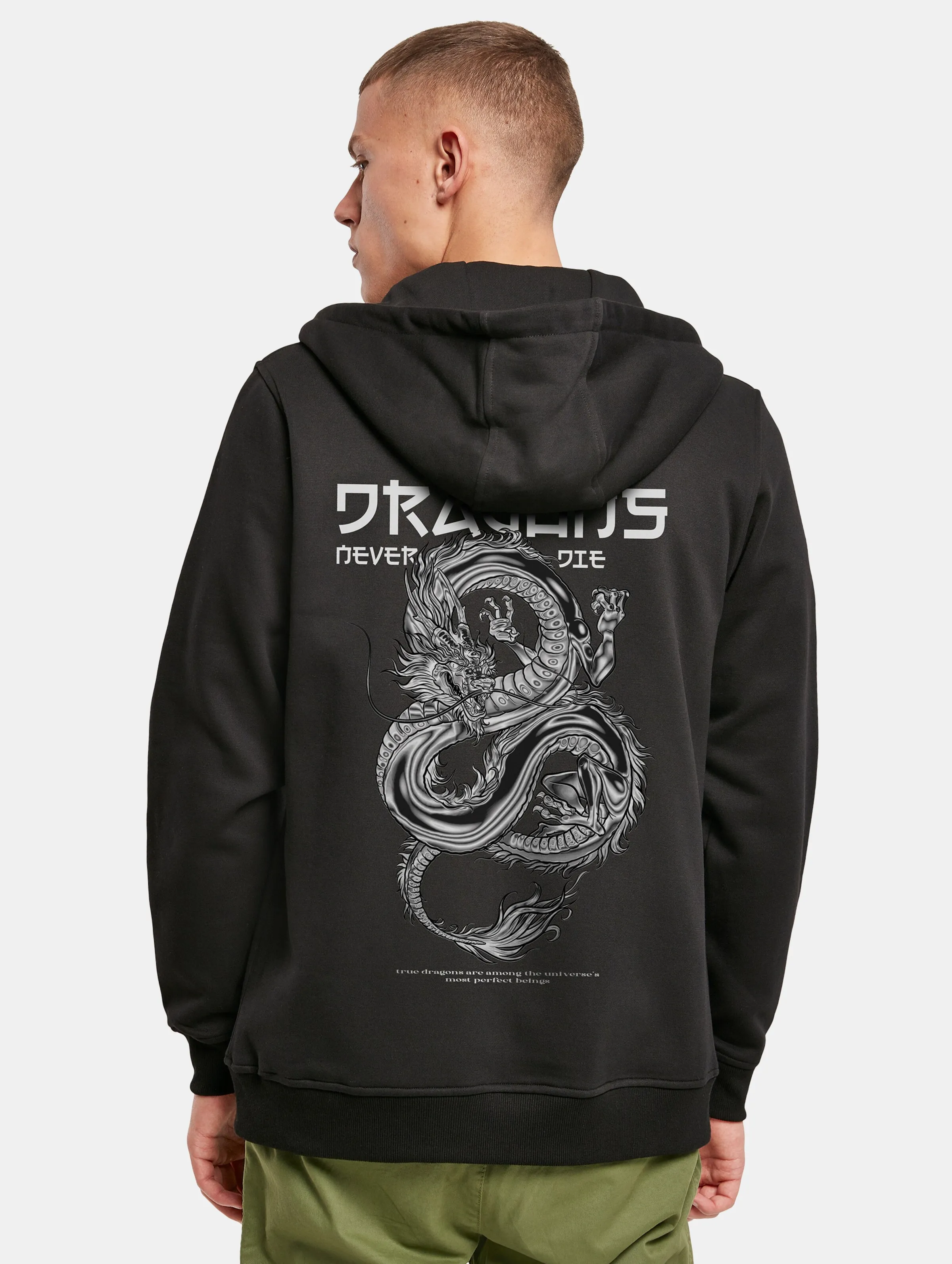 Dragons Never Die