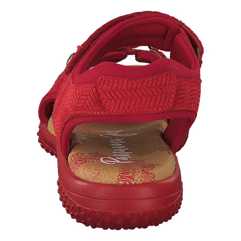 Panama Jack calzado Nilo Menorca Velour Rojo/red