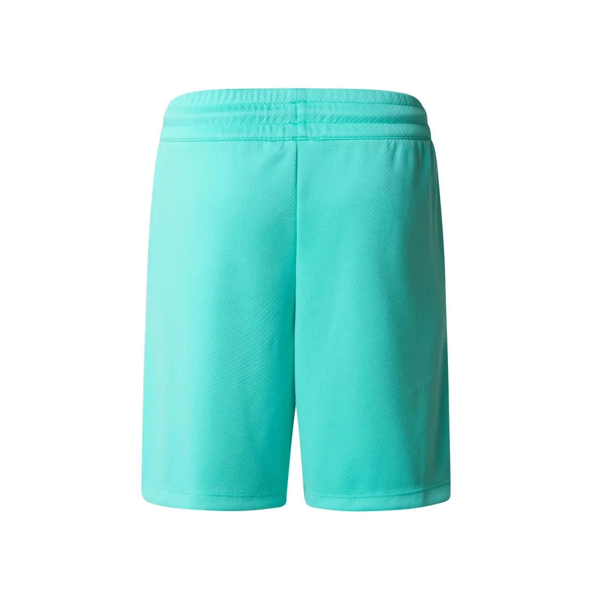 Pantalón the north face Never Stop Short