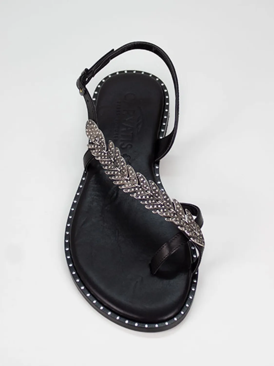 SANDALIAS ALAS CURVADA ROBINSON